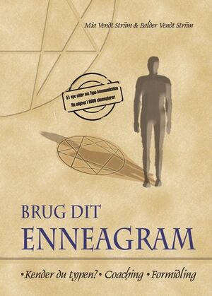 Brug-dit-enneagram.jpg